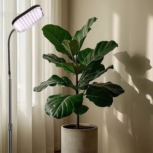 Plant Grow Light LED : Square