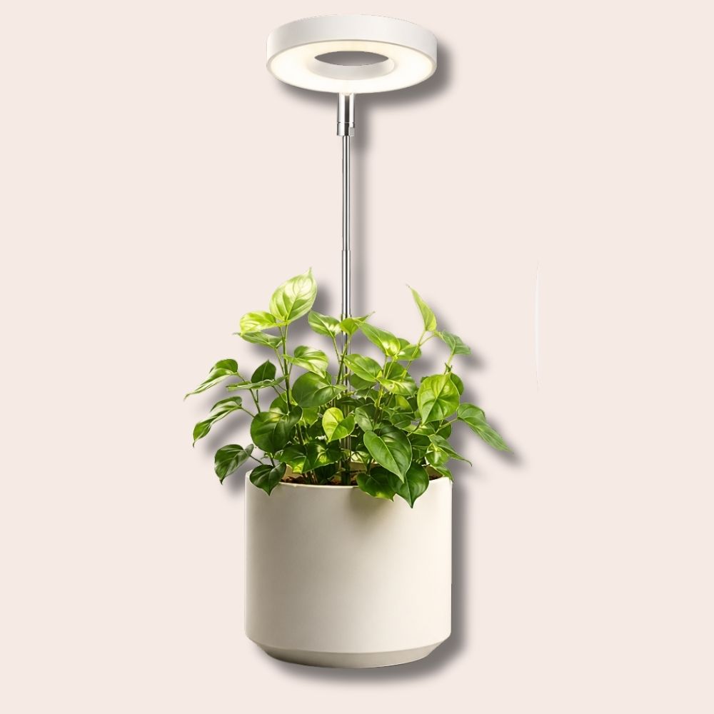 Halo Ring Grow Lights