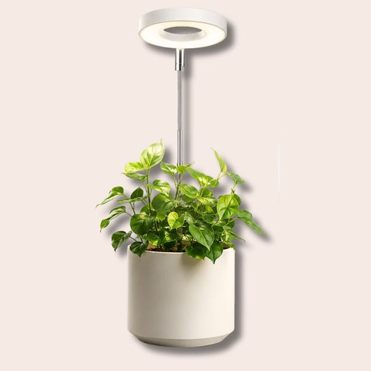 Halo Ring Grow Lights