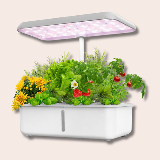 Hydroponic Growing System with LED Grow Light : Auto Pump Indoor Herb Garden Kit