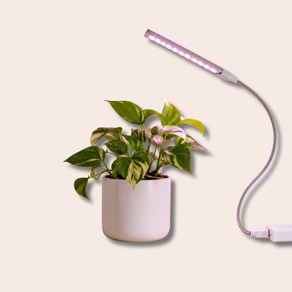 USB LED Grow Light for Indoor Plants