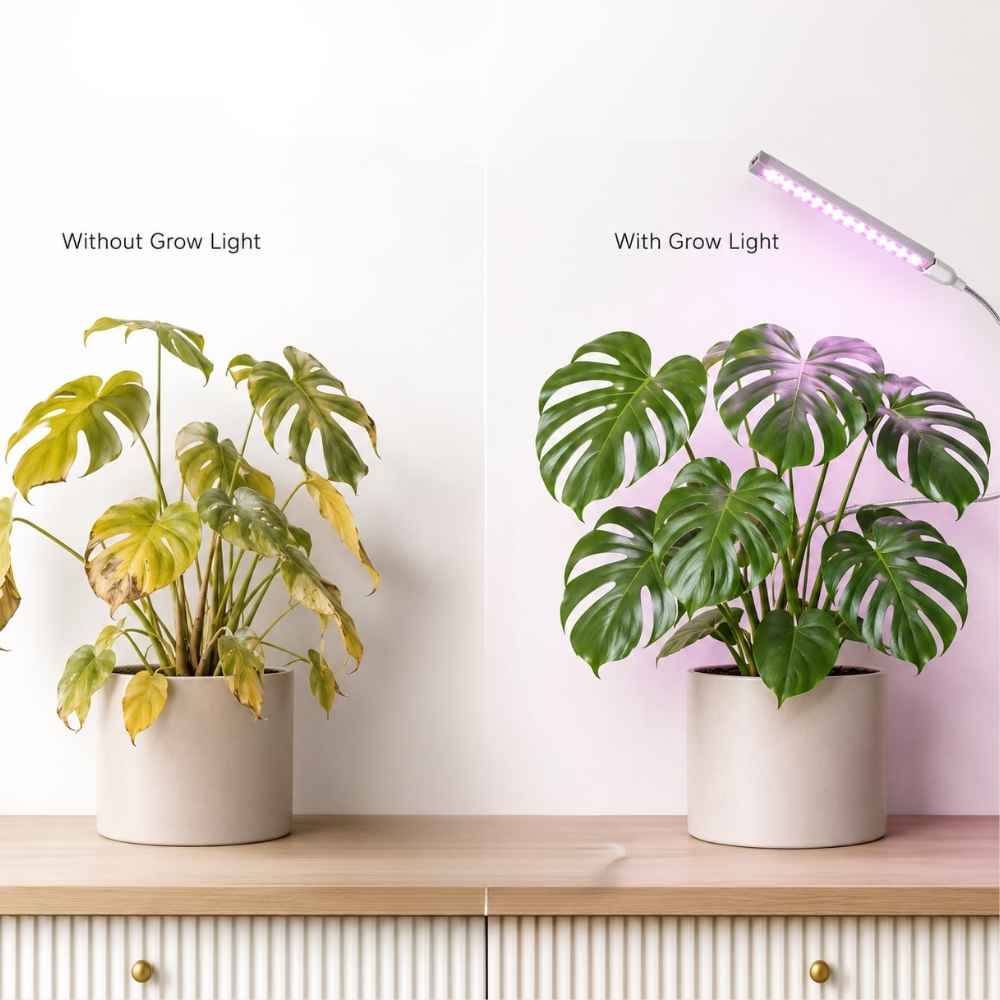 USB LED Grow Light for Indoor Plants